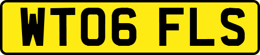 WT06FLS
