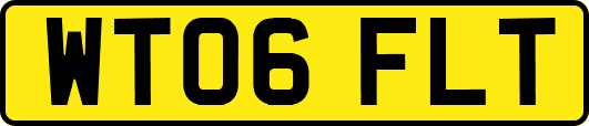 WT06FLT