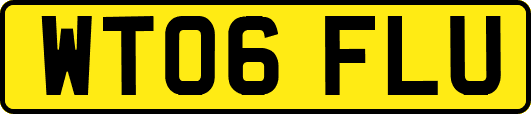 WT06FLU