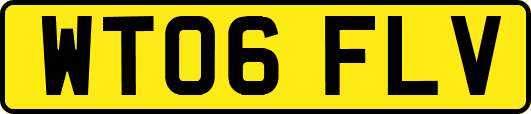 WT06FLV