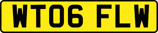 WT06FLW