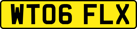 WT06FLX