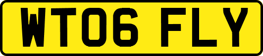 WT06FLY