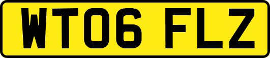 WT06FLZ