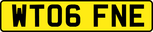 WT06FNE