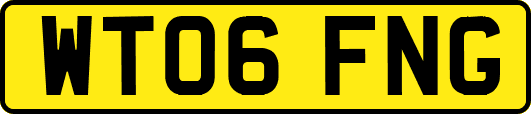 WT06FNG