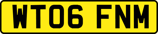 WT06FNM