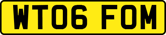 WT06FOM