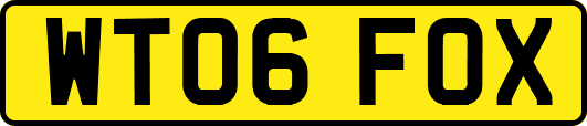 WT06FOX