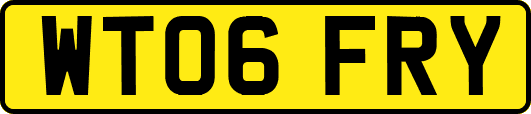 WT06FRY