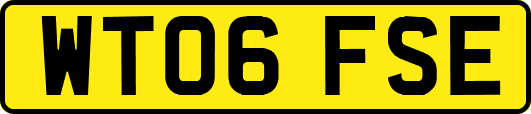 WT06FSE