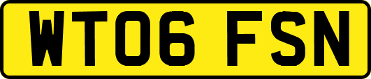 WT06FSN