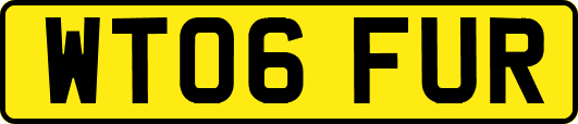 WT06FUR