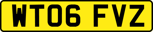 WT06FVZ