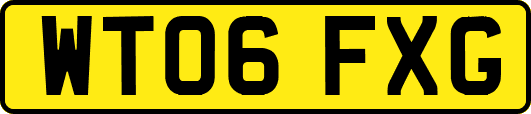 WT06FXG