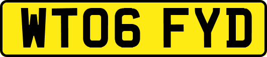WT06FYD