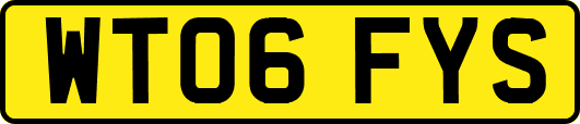 WT06FYS
