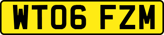 WT06FZM