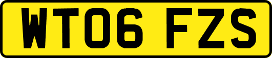 WT06FZS