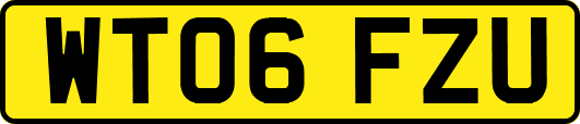 WT06FZU