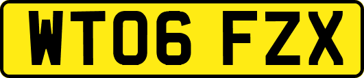 WT06FZX