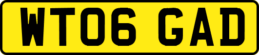WT06GAD