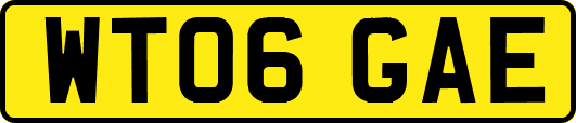 WT06GAE
