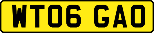 WT06GAO