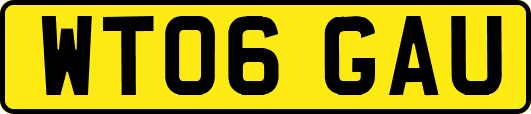 WT06GAU