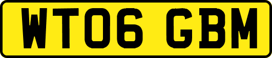 WT06GBM