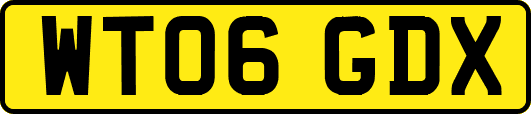 WT06GDX