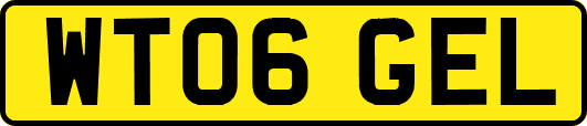 WT06GEL