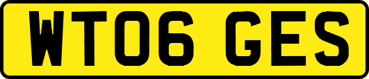 WT06GES