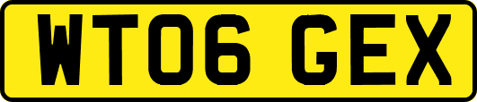 WT06GEX