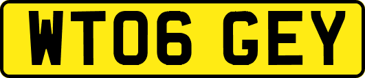 WT06GEY