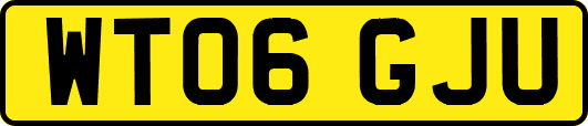 WT06GJU