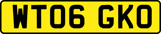 WT06GKO
