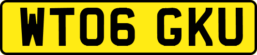 WT06GKU
