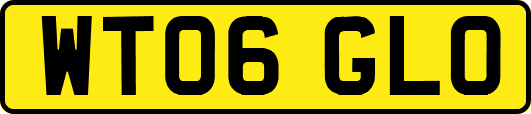 WT06GLO