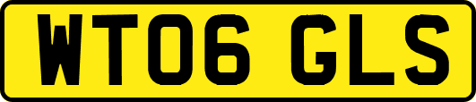 WT06GLS