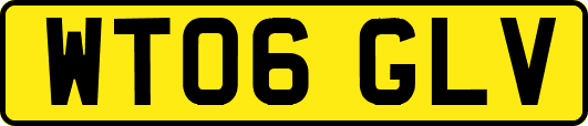 WT06GLV
