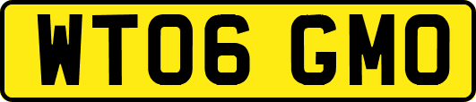 WT06GMO