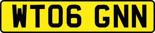 WT06GNN