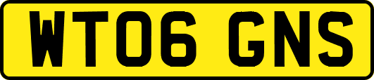 WT06GNS