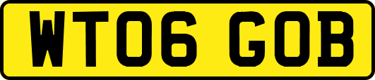 WT06GOB