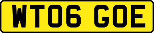 WT06GOE
