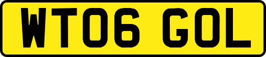 WT06GOL