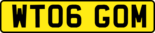 WT06GOM