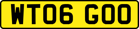WT06GOO