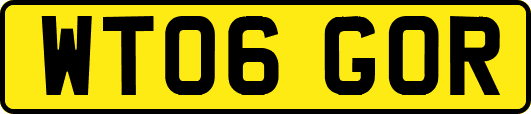 WT06GOR